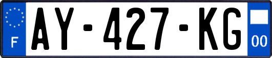 AY-427-KG