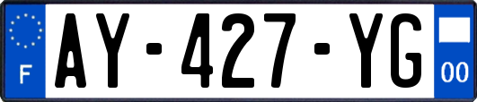 AY-427-YG