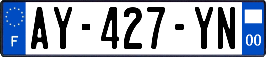 AY-427-YN