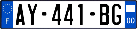 AY-441-BG
