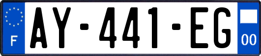 AY-441-EG