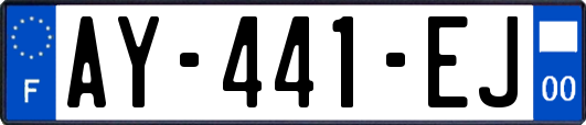AY-441-EJ
