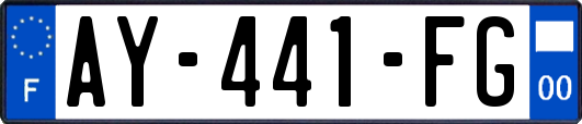 AY-441-FG