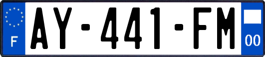 AY-441-FM