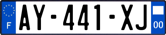AY-441-XJ