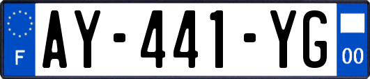 AY-441-YG