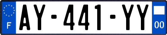 AY-441-YY