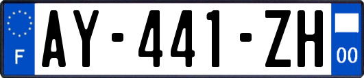 AY-441-ZH