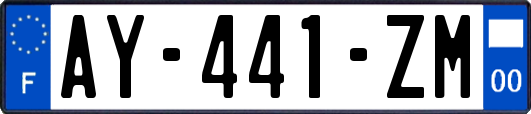 AY-441-ZM