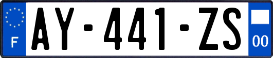 AY-441-ZS