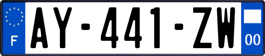 AY-441-ZW