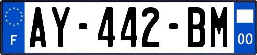 AY-442-BM