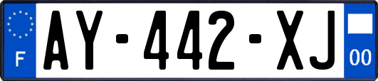 AY-442-XJ