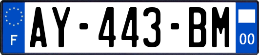 AY-443-BM