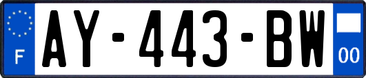 AY-443-BW