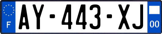 AY-443-XJ