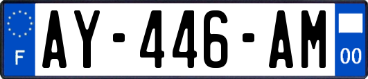 AY-446-AM