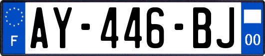 AY-446-BJ