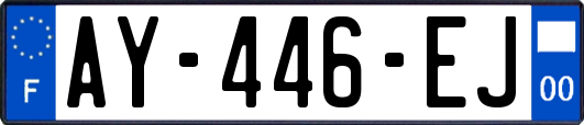 AY-446-EJ