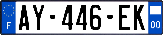 AY-446-EK