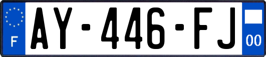 AY-446-FJ