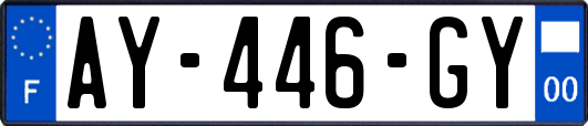 AY-446-GY