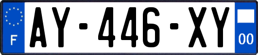 AY-446-XY