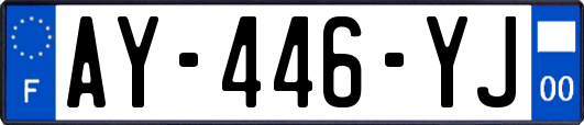 AY-446-YJ