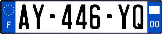 AY-446-YQ