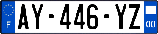 AY-446-YZ
