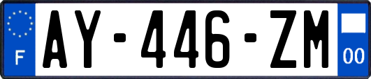 AY-446-ZM