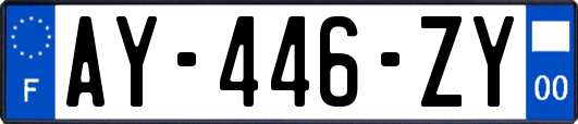 AY-446-ZY