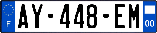 AY-448-EM
