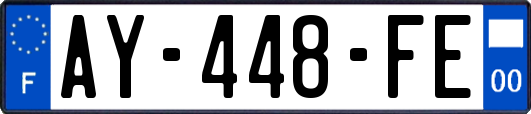 AY-448-FE