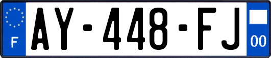 AY-448-FJ