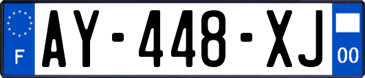 AY-448-XJ