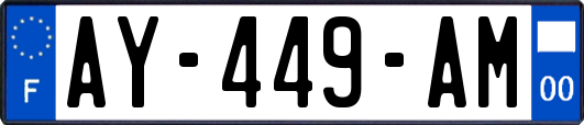 AY-449-AM