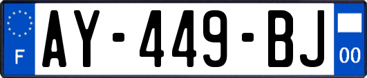 AY-449-BJ