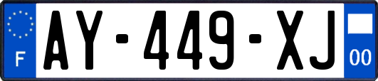 AY-449-XJ