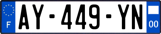 AY-449-YN