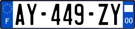 AY-449-ZY
