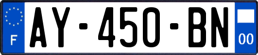 AY-450-BN
