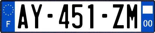 AY-451-ZM
