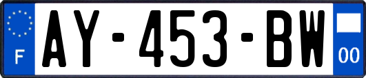 AY-453-BW