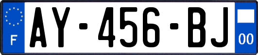 AY-456-BJ