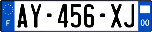 AY-456-XJ