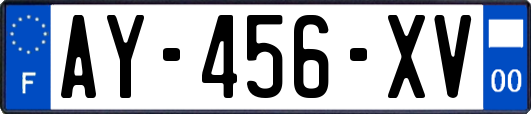 AY-456-XV