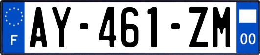 AY-461-ZM