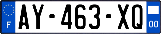 AY-463-XQ