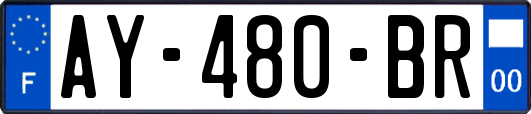 AY-480-BR